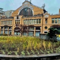 Бессарабська площа зацвіла по-новому: клумба в стилі «нової хвилі»
