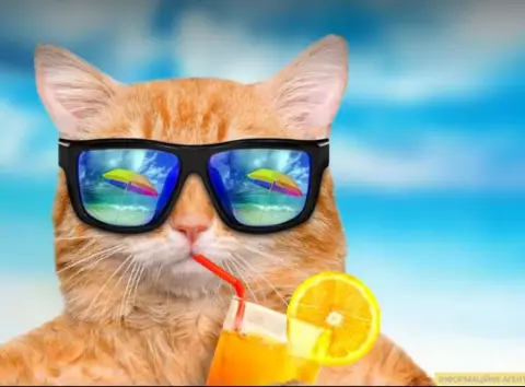 Наймодніший головний убір цього літа