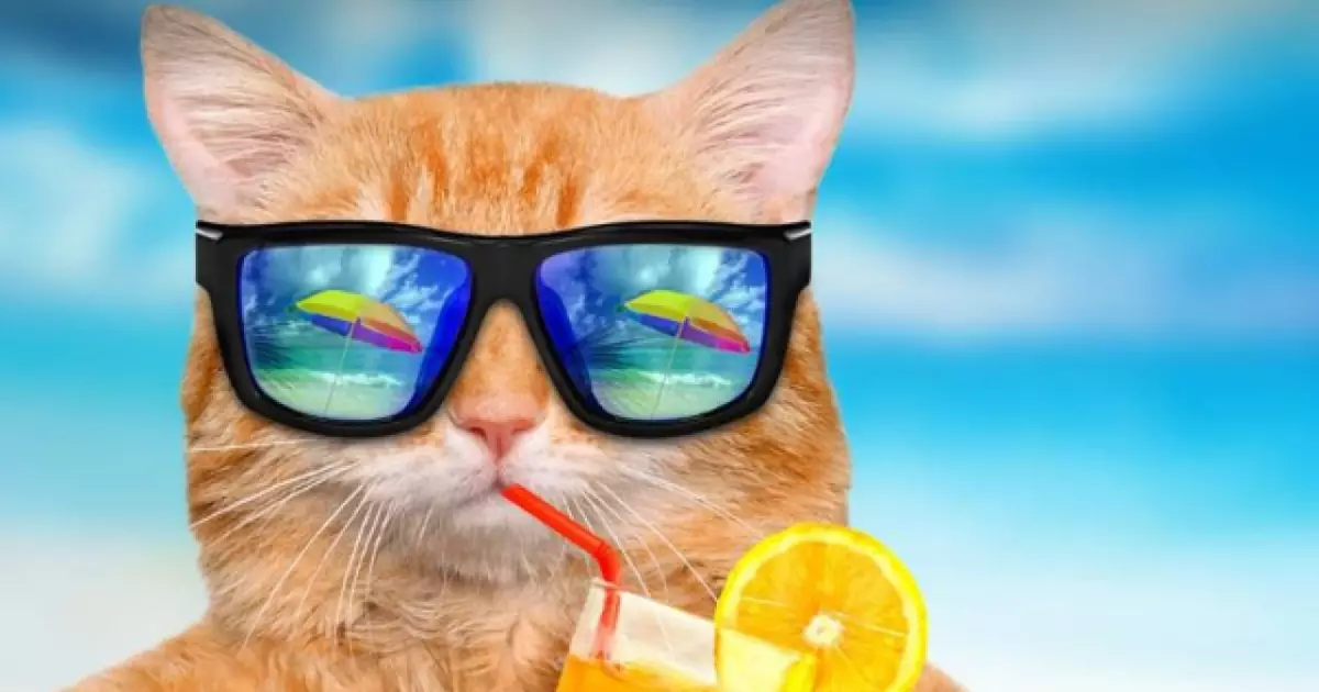 Наймодніший головний убір цього літа